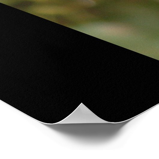 Poster Ébène (Coin)