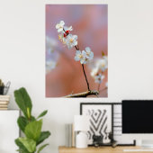 Poster Éblouissante floraison japonaise d'abricots (Bureau à domicile)