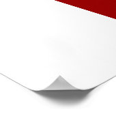 Poster écailler (Coin)