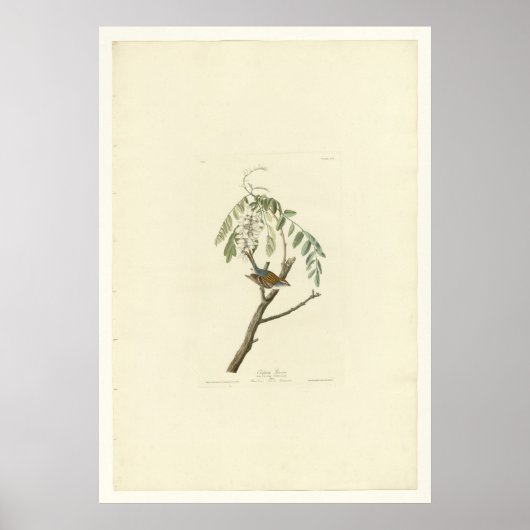 Poster Écart (Devant)