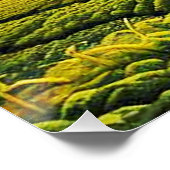 Poster Écart dans les champs végétaux 9 (Coin)