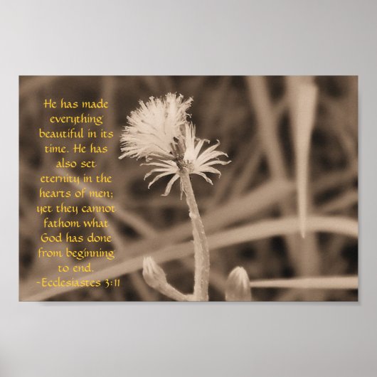Poster Ecclesiastes 3:11 print in sepiatone (Devant)