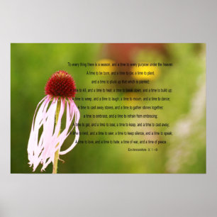 Poster Ecclesiastes exprime l'affiche en vers