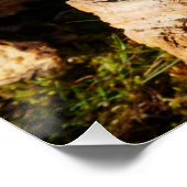 Poster Échantillon de Fubby sur la balançoire. (Coin)