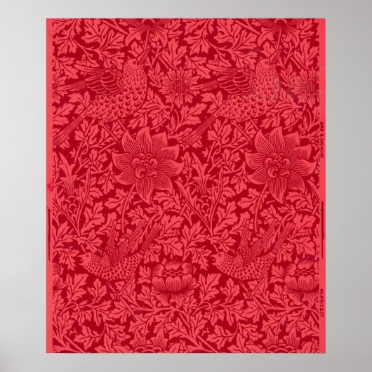 Poster Échantillon d'oiseau, papier peint d'anémone par M (Devant)