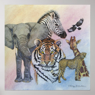 Poster Échantillonneur de safari