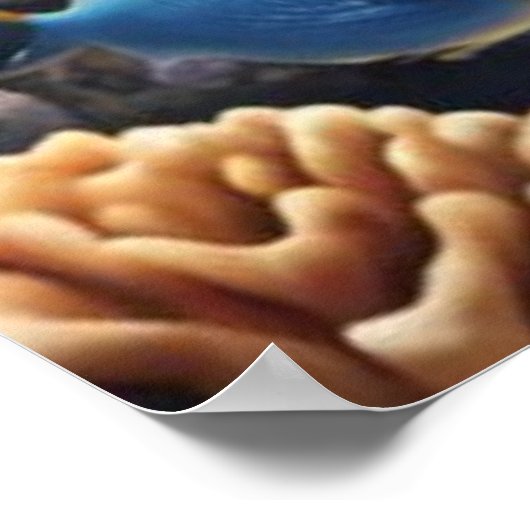 Poster Echappement de récif tropical (Coin)