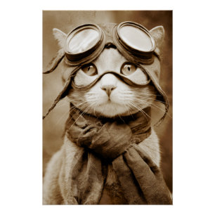 Poster Écharpe Chat Lunettes Vintage Impression Rétro