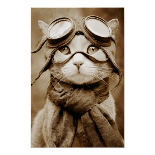 Poster Écharpe Chat Lunettes Vintage Impression Rétro (Devant)