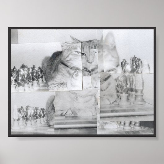 Poster Échecs de chats (Devant)