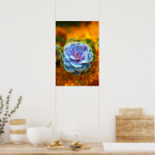 Poster Echeveria de couleur bleue (Cuisine)