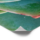 Poster Echeveria Rosette, Secret Garden of Marrakech (Coin)