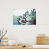 Poster Echeveria succulent (Cuisine)