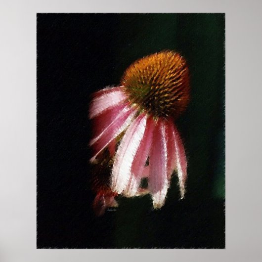 Poster Echinacea Silhouette SK (Devant)
