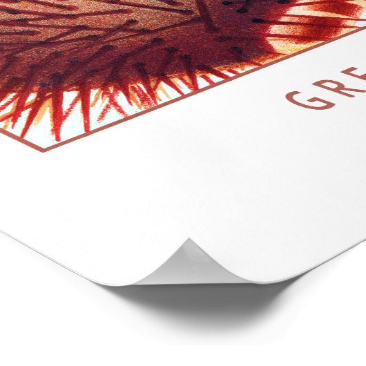 Poster Échinodermes de la Grande barrière de corail | VIN (Coin)