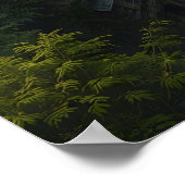 Poster Echoes of the Green Canopy (Coin)