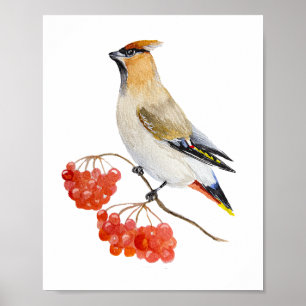 Poster Écirage d'oiseaux de la forêt d'aquarelle