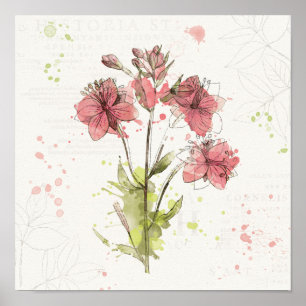 Poster Éclaboussure rose foncée florale