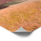 Poster Éclair (Coin)