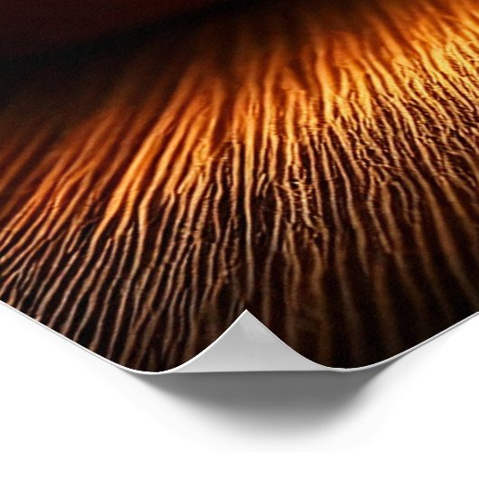 Poster Éclair : Libérer la puissance du café (Coin)