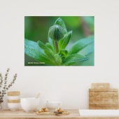 Poster Éclairage au printemps (Cuisine)