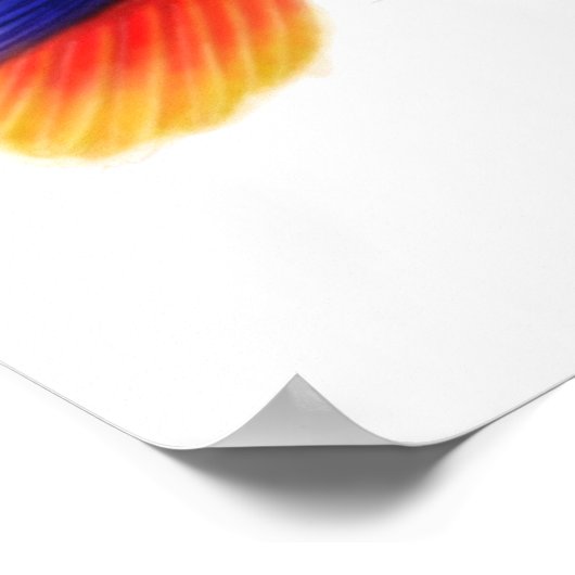 Poster Eclectus Perroquets & Bromeliads Imprimer (Coin)