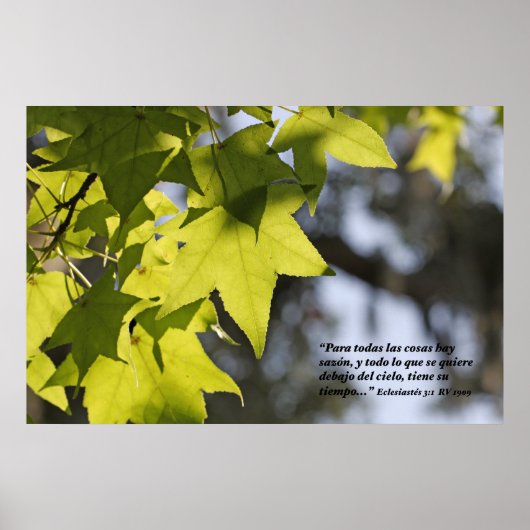 Poster Eclesiastes 3:1 con Hojas (Devant)