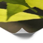 Poster Eclesiastes 3:1 con Hojas (Coin)