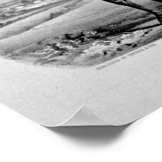 Poster Éclipse américaine (Coin)