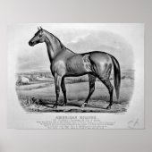 Poster Éclipse américaine (Devant)