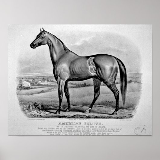 Poster Éclipse américaine (Devant)