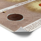 Poster Éclipses lunaires solaires Imprimer (Coin)
