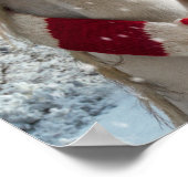 Poster Éclosion de chevaux Snowflakes (Coin)