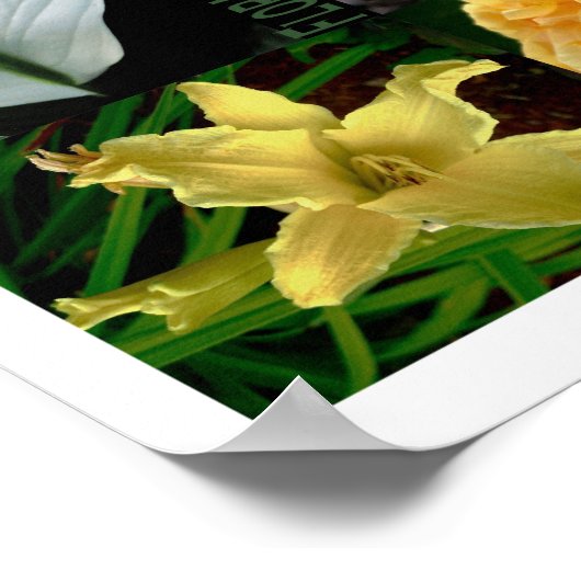 Poster Éclosions florales (Coin)