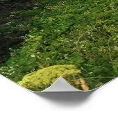 Poster Ecola State Park, Cannon Beach, Oregon (Coin)