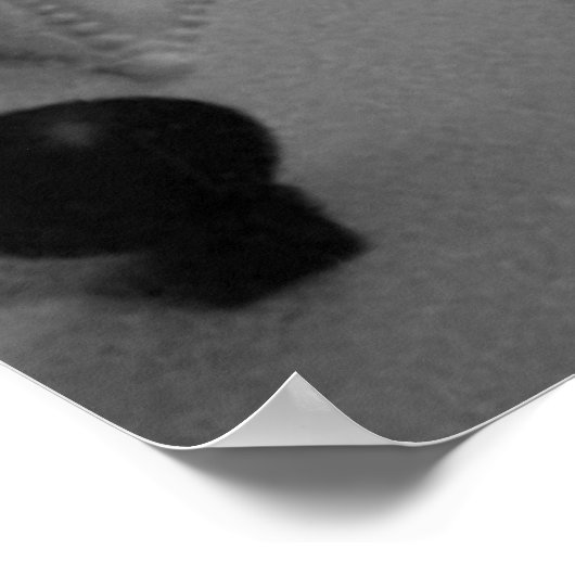 Poster École ancienne (Coin)