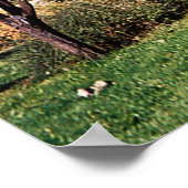 Poster Ecole Blanchard Historique..... (Coin)