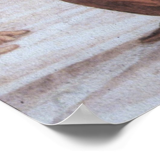 Poster École d'Athènes (détail - Platon & Aristote) (Coin)