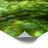 Poster École de Blue Tang (Coin)