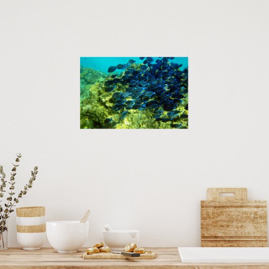 Poster École de Blue Tang (Cuisine)