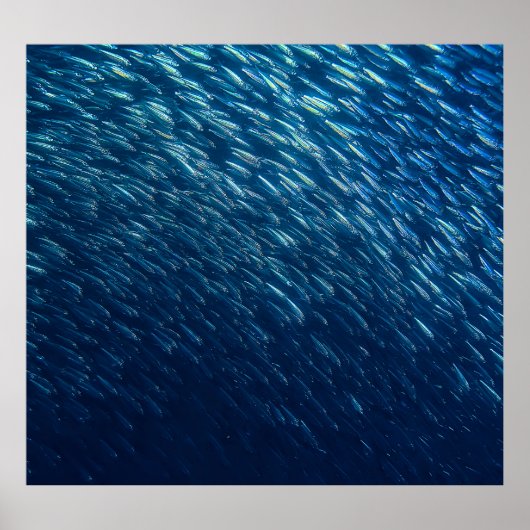 Poster École de poisson sous-marin Abstrait (Devant)