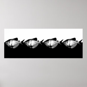 Poster Ecole de Tetra Jupe Noire