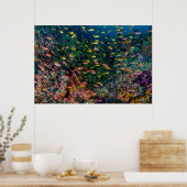 Poster Écoles de poissons nagent dans les récifs (Cuisine)