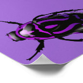 Poster Écolle pourpre (Coin)