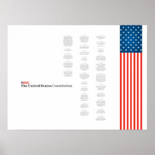 Poster Econo USA Obstiution American Flag