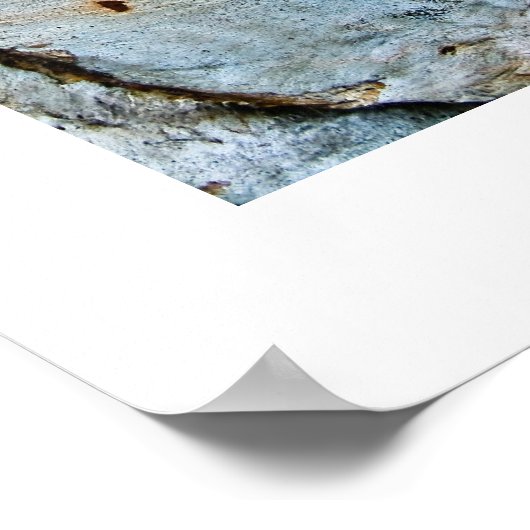 Poster Écorce Abstraite (Coin)