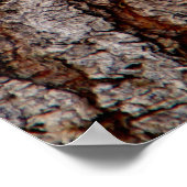 Poster écorce d'arbre (Coin)