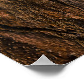 Poster écorce d'arbre Brown en photo closeup (Coin)