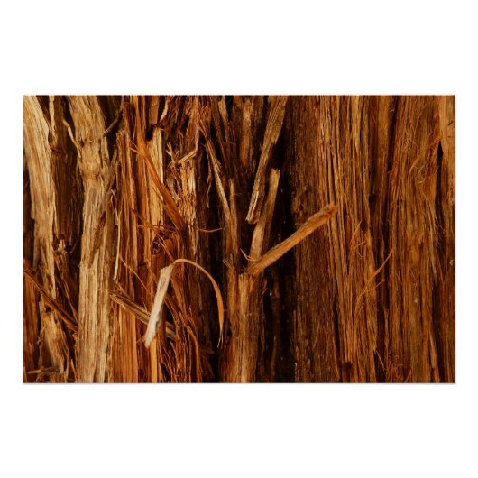 Poster Écorce de bois texturée de cèdre (Devant)