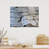 Poster Écorce de bouleau (Cuisine)